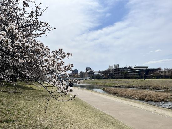 ＫＫＲ京都　くに荘（国家公務員共済組合連合会京都宿泊所） クーポン