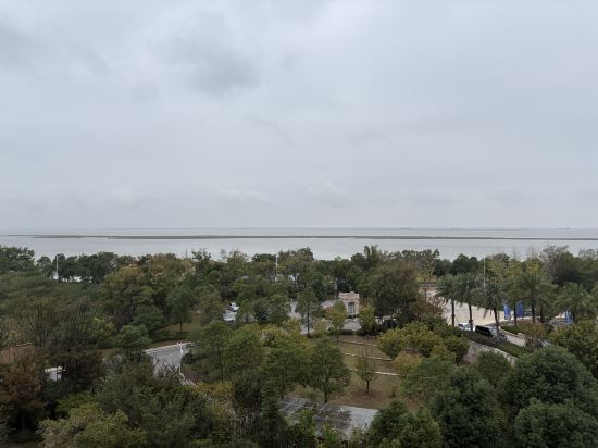 岳陽鉑爾曼酒店優惠