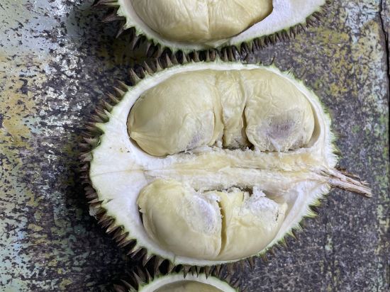 雪蘭莪士拉央美居酒店優惠