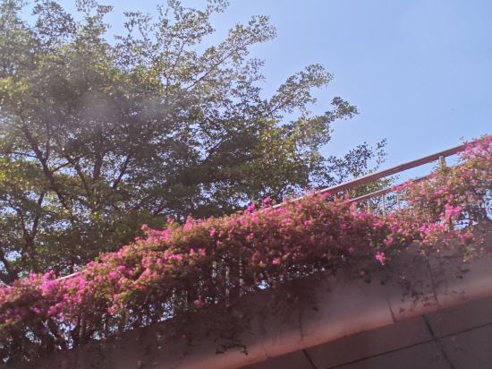 廈門萬佳東方飯店（中山路植物園店）優惠