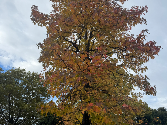 療愈度假村加賀之幸Arrowle飯店優惠