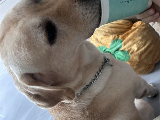 全季飯店（北京亞運村鳥巢店）優惠