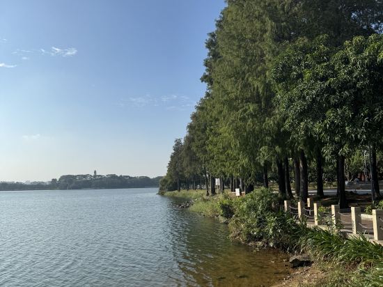 東莞松山湖凱悅飯店優惠