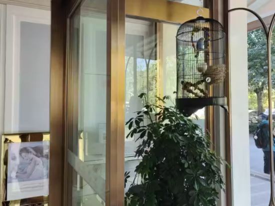 維也納酒店（濟南章丘政務中心大學城店）優惠