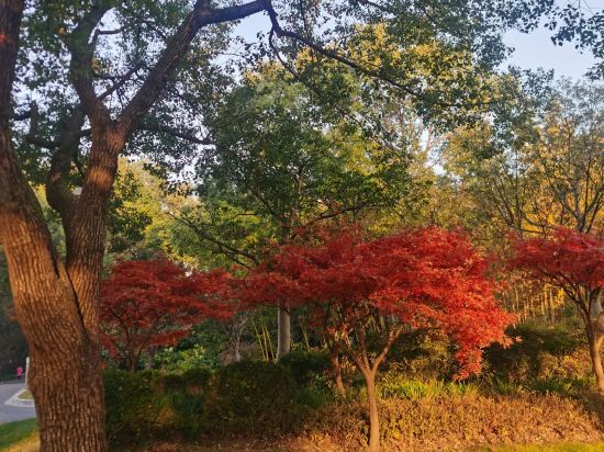 上海西郊賓館優惠