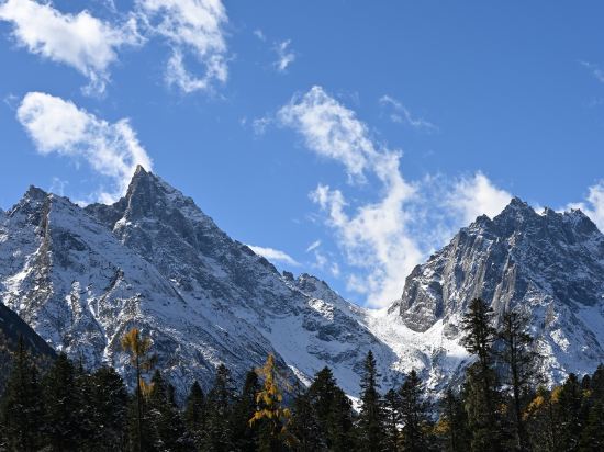 ダイワロイネットホテル京都駅前 クーポン