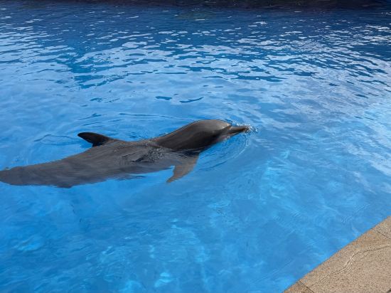 長隆橫琴灣酒店（珠海長隆旗艦店）優惠