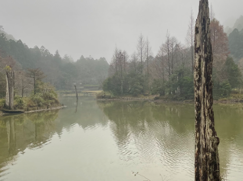 宜蘭大同明池山莊（明池森林遊樂區）優惠