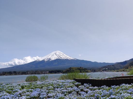 ブリーズベイレイクリゾート河口湖 クーポン