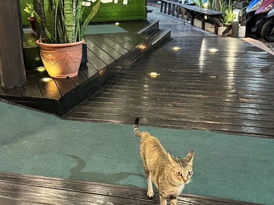 澎湖和田飯店優惠