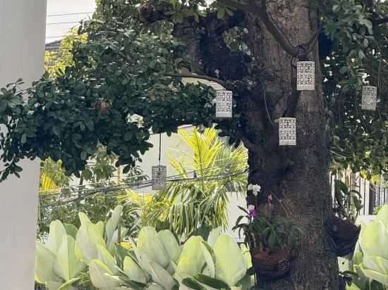 布里斯裡精品飯店優惠