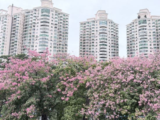 深圳深鐵皇冠假日酒店優惠