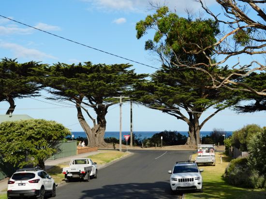 森派柏酒店優惠