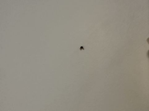 黃金海岸狂想曲度假村優惠