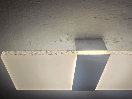 新加坡明古連酒店 - 明古連街 （Staycation Approved）優惠