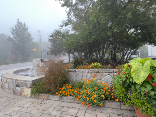 蒙特朗布朗度假勝地希爾頓欣庭套房酒店優惠