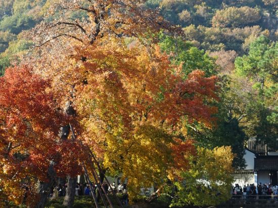 扉縵酒店（蘇州大學觀前街平江路店）優惠