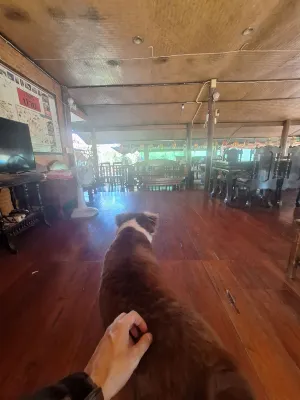 Lemont Pai Resort In der Nähe des Hotels Photos