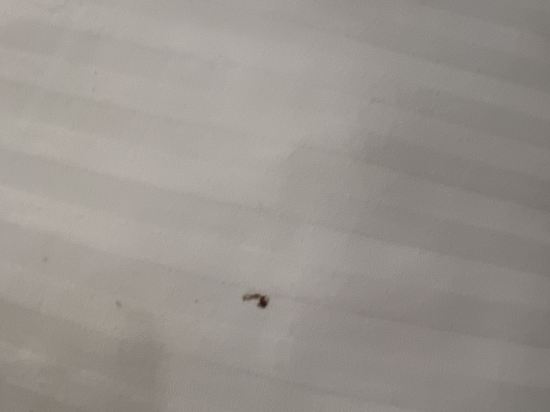 梳邦9號廣場酒店優惠