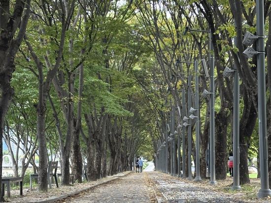 상상마당 춘천 스테이 호텔 쿠폰