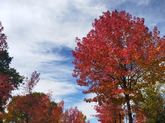 星野リゾート 磐梯山温泉ホテル クーポン