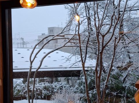 湯煙之宿 雪之花優惠