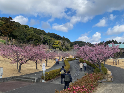 ホテル玄　御前崎 クーポン