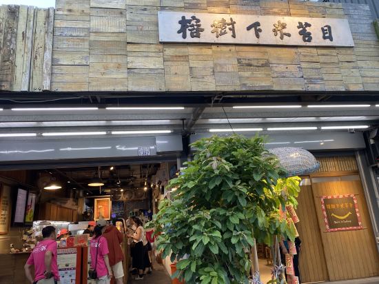 台東知本富野溫泉休閒會館優惠