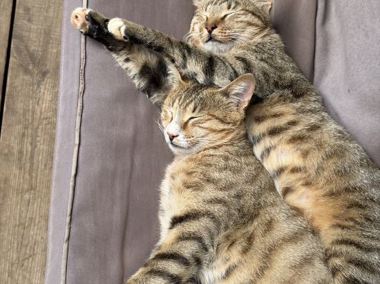 昆明千尋墨問禪意酒店優惠