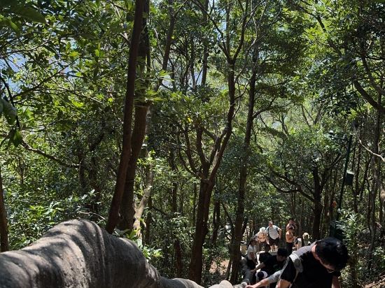深圳北站王牌國際飯店優惠
