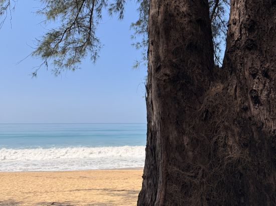 美利亞普吉島邁考飯店優惠