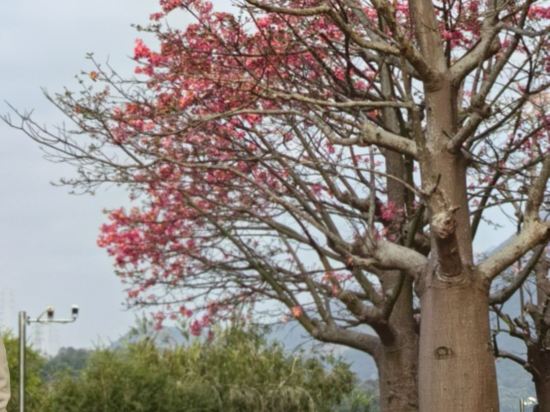 廣州碧水灣温泉度假村優惠