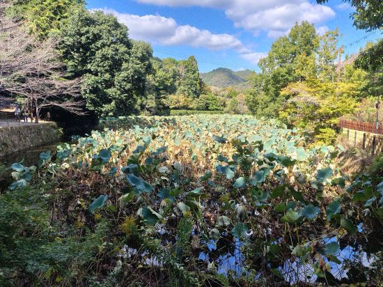 京都六條東方飯店優惠
