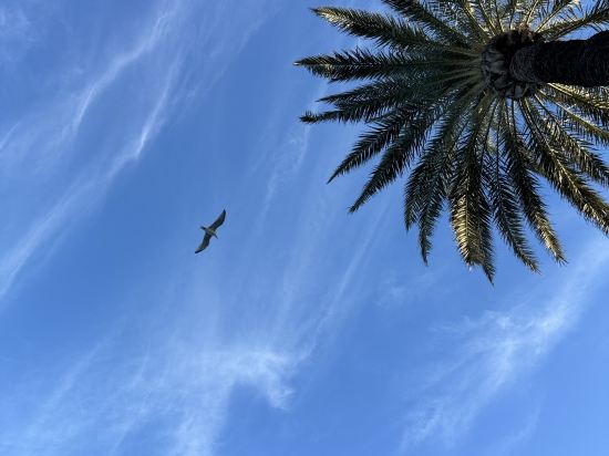 伊比薩吐温斯酒店優惠