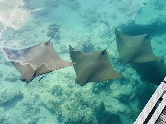 沖繩萬麗度假飯店優惠