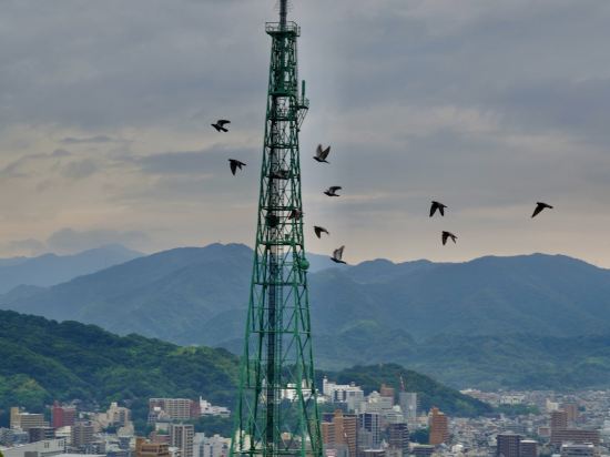 ダイワロイネットホテル松山 クーポン