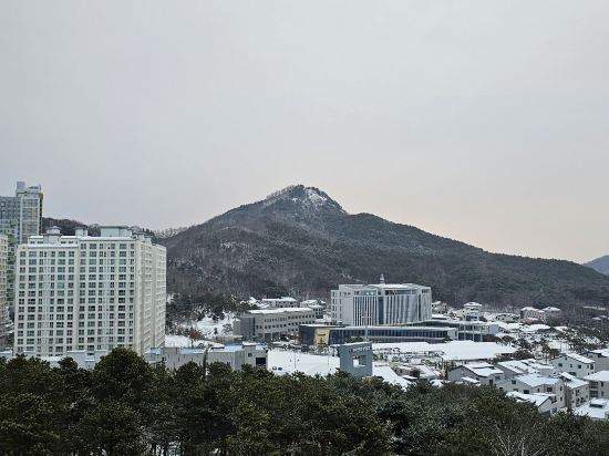 안동 씨엠 파크 호텔 쿠폰