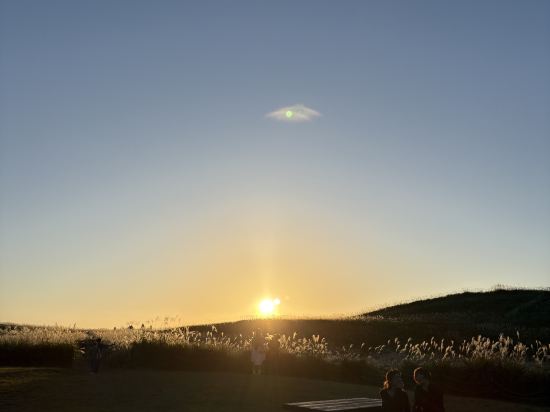 ホテルファインガーデン奈良宝来店 クーポン