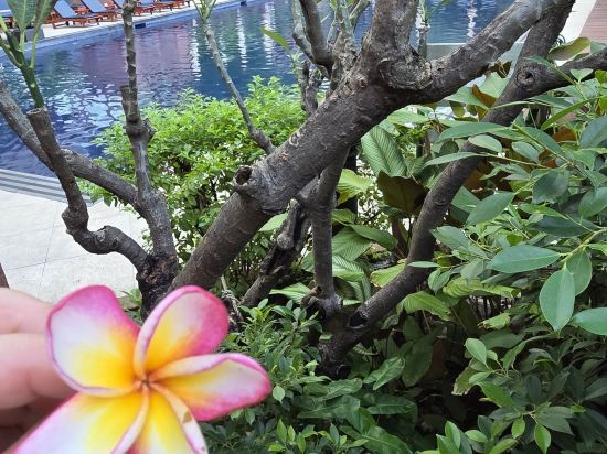 曼谷湄南河畔華美達廣場飯店優惠