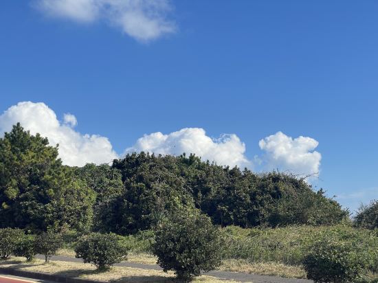 더포그레이스리조트 쿠폰