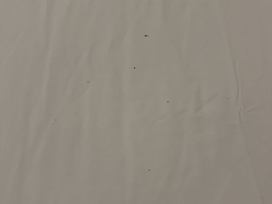 博斯科維克精品酒店優惠