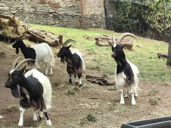 愛丁堡假日酒店 - IHG 旗下飯店優惠