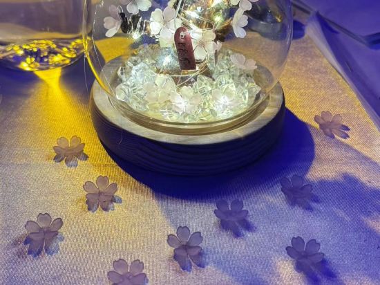 怡雅陽光客棧（機場店）優惠