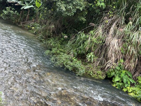 廣州從化聚城山莊優惠