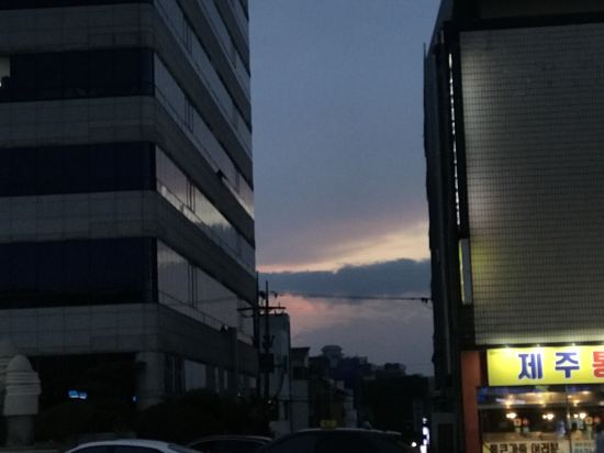 호텔 엘린 쿠폰