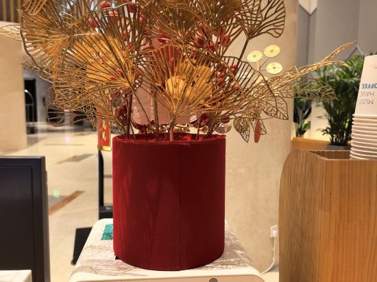鄭州鄭東智選假日飯店優惠