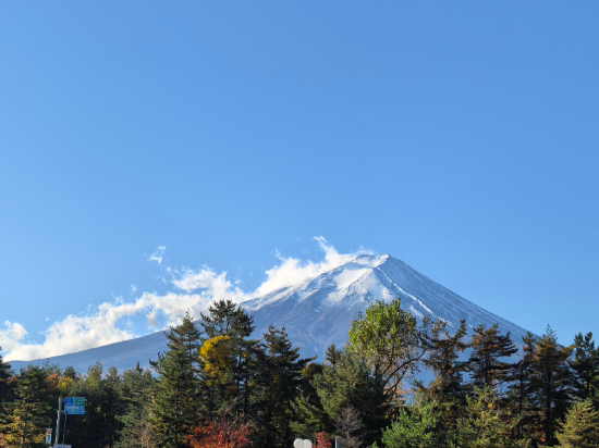 海蘭德水療度假酒店優惠