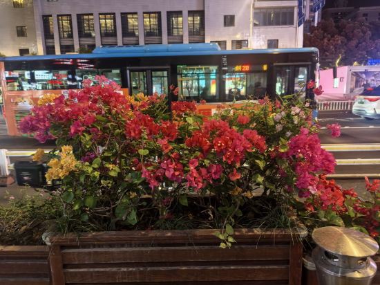 恩澤星玥飯店（三坊七巷達明路美食街店）優惠