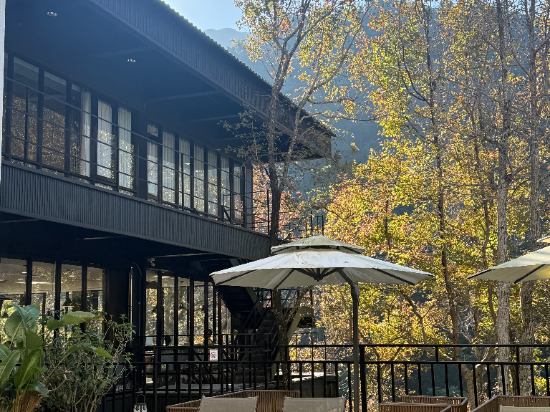 苗栗泰安湯悅溫泉會館優惠