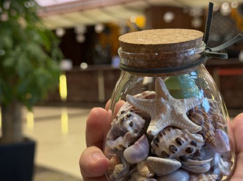 珠海粵財皇冠假日酒店優惠